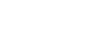Logo Thuriès Conseil - Damien Thuriès, conseils culinaires et formation cuisine